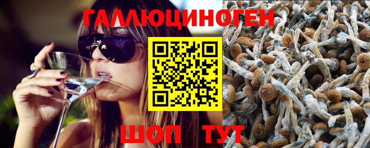 Миллерово  Галлюциногенные грибы мицелий  Псилоцибиновые грибы GOLDEN TEACHER  наркошоп  Вход с VPN 